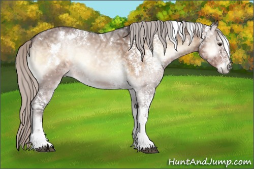 Horse Color:White Spotted Silver Brown Ice Onyx 