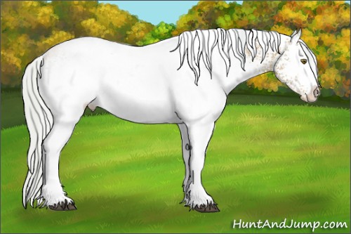 Horse Color:Watercolor White Spotted Silver Brown Pearl 