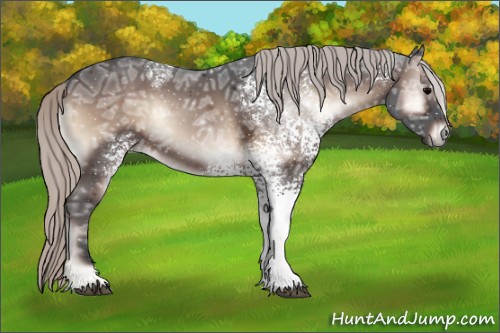 Horse Color:White Spotted Silver Brown Ice Onyx Rabicano 