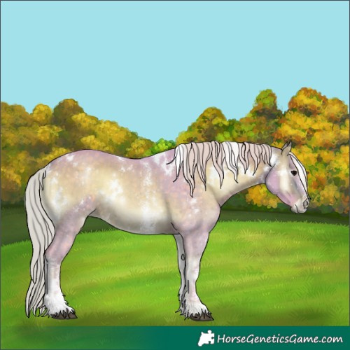 Horse Color:Watercolor White Spotted Silver Brown Onyx Sabino 