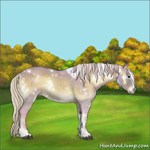 Horse Color:Watercolor White Spotted Silver Brown Onyx Sabino 