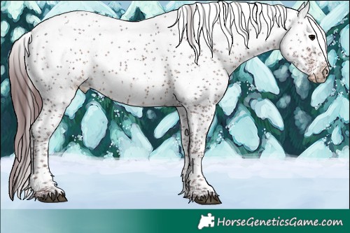 Horse Color:Chocolate Brown Sabino 