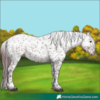 Horse Color:Chocolate Brown Sabino 