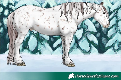 Horse Color:White Spotted Chocolate Brown Sabino 