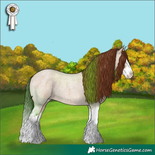 Horse Color:Red Dun Roan Sabino Splash 