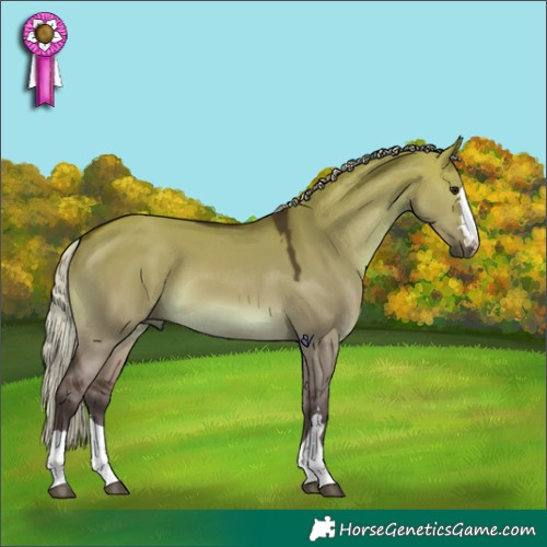 Horse Color:Silver Brown Dun 