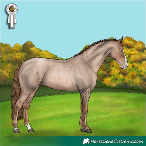 Horse Color:Liver Red Roan Pearl Splash Rabicano 