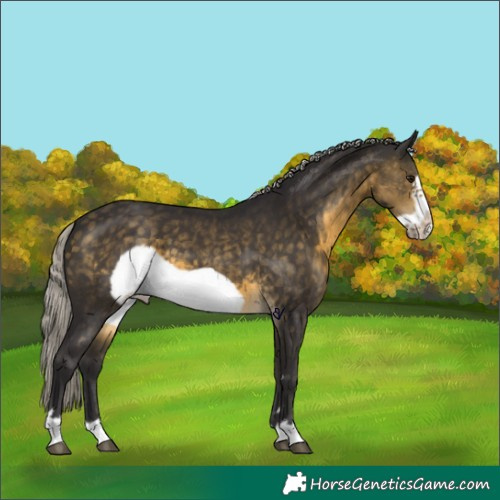 Horse Color:Silver Buckskin Frame 