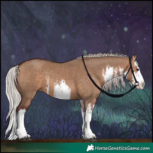 Horse Color:White Spotted Silver Brown Dun Splash 
