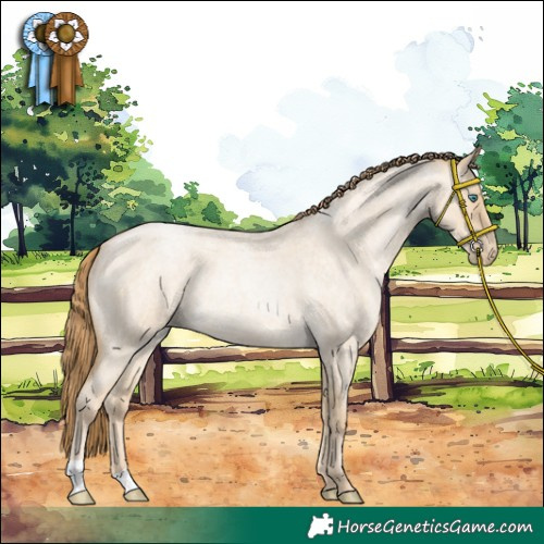 Horse Color:Smoky Grullo Roan Pearl 