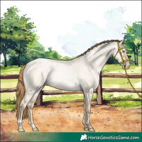 Horse Color:Smoky Grullo Roan Pearl 