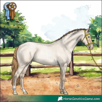Horse Color:Smoky Grullo Roan Pearl 