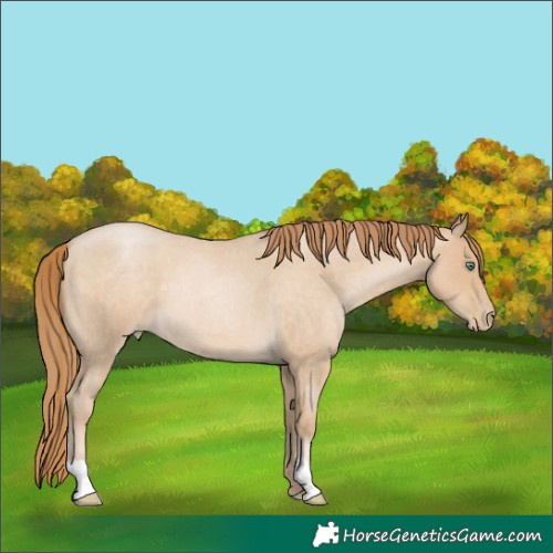 Horse Color:Smoky Blue Roan Pearl 