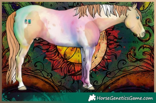 Horse Color:Buckskin Pearl Tobiano