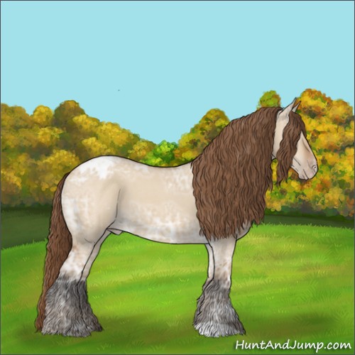 Horse Color:Bay Ice Roan Dun Appaloosa 