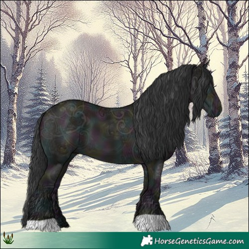 Horse Color:Midnight Grullo Ice 