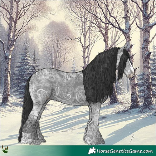 Horse Color:Black Ice 