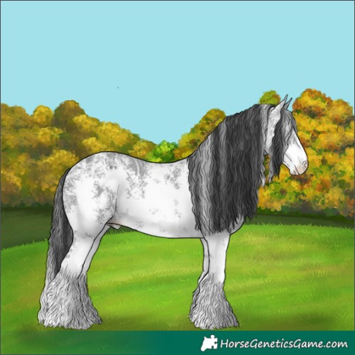 Horse Color:Black Ice Sabino 