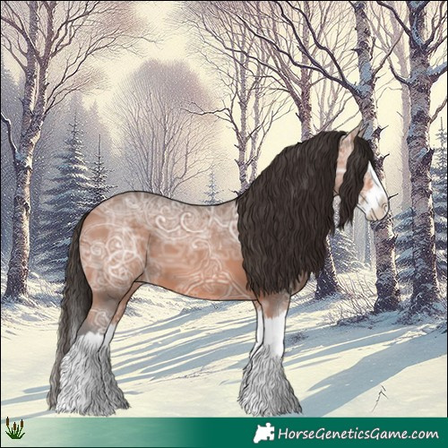 Horse Color:Bay Ice Splash 