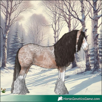 Horse Color:Bay Ice Splash 