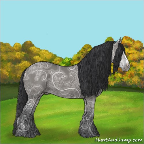 Horse Color:Grullo Ice 