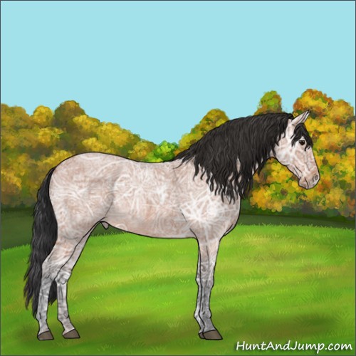 Horse Color:Bay Ice Roan 