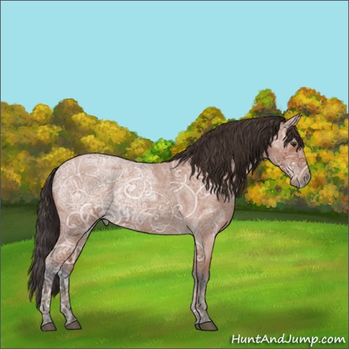 Horse Color:Brown Ice Roan 