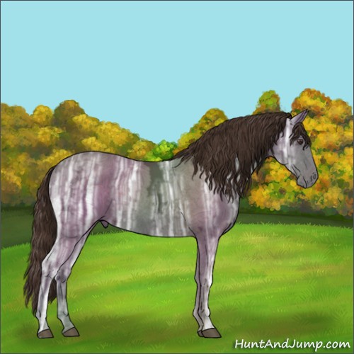 Horse Color:Liver Chestnut Ice 