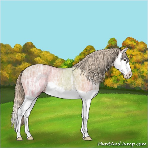 Horse Color:Palomino Ice Dun Splash Rabicano 