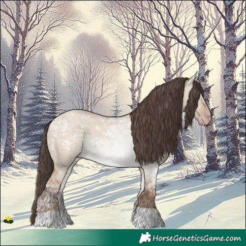 Horse Color:Classic Champagne Ice Dun Rabicano