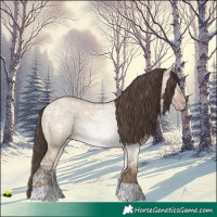 Horse Color:Classic Champagne Ice Dun Rabicano 