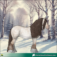 Horse Color:Classic Champagne Ice Dun Rabicano 