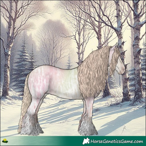 Horse Color:Gold Champagne Ice Dun Rabicano 