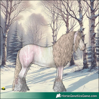 Horse Color:Gold Champagne Ice Dun Rabicano 
