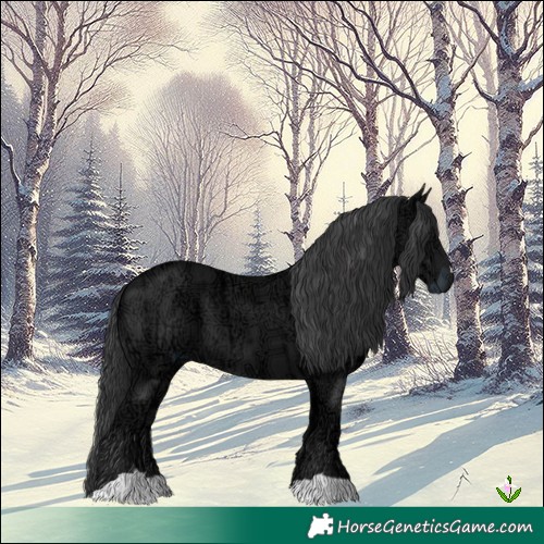 Horse Color:Black Ice 
