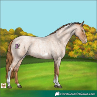 Horse Color:Red Roan Pearl Tobiano Frame 