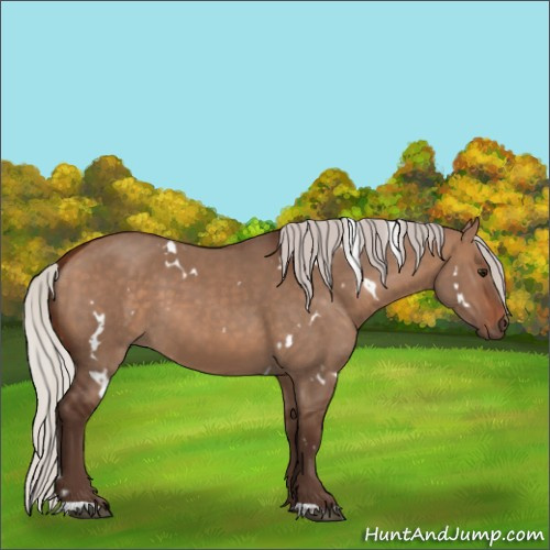 Horse Color:White Spotted Silver Brown Dun