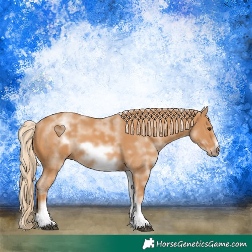 Horse Color:White Spotted Chestnut Frame