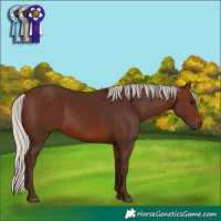 Horse Color:Silver Brown 