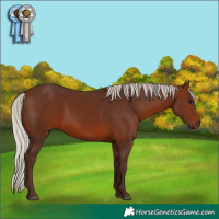 Horse Color:Silver Brown 