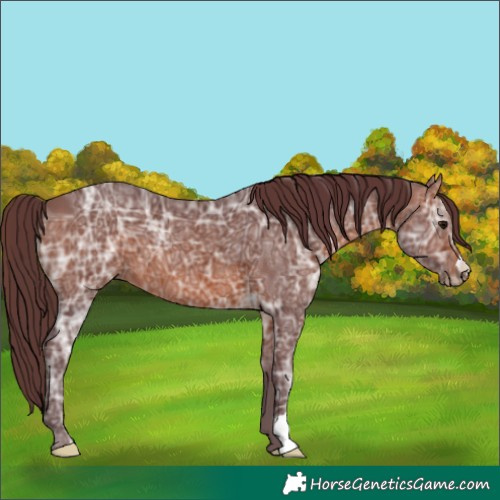 Horse Color:Chocolate Brown Ice 