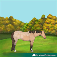 Horse Color:Bay Ice Dun 