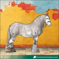 Horse Color:Chocolate Palomino Roan Splash