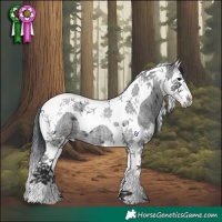 Horse Color:Blue Roan Splash Tobiano