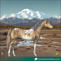 Horse Color:Buckskin Mushroom Tobiano  and Chocolate Palomino Dun Mushroom Tobiano 