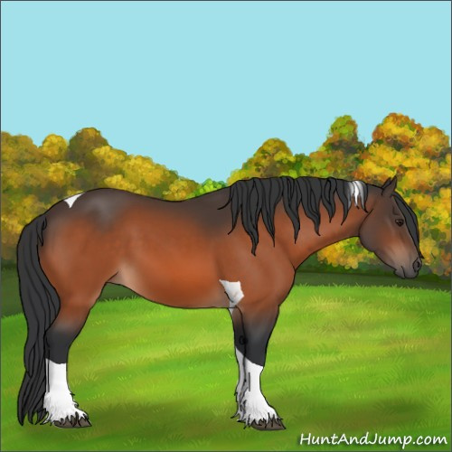 Horse Color:Brown Tobiano 