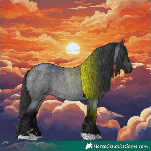 Horse Color:Midnight Brown Chinchilla Roan Dun
