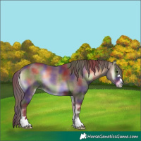 Horse Color:Nacre Chocolate Brown Onyx 