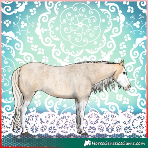 Horse Color:Silver Buckskin Roan Splash 