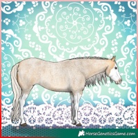 Horse Color:Silver Buckskin Roan Splash